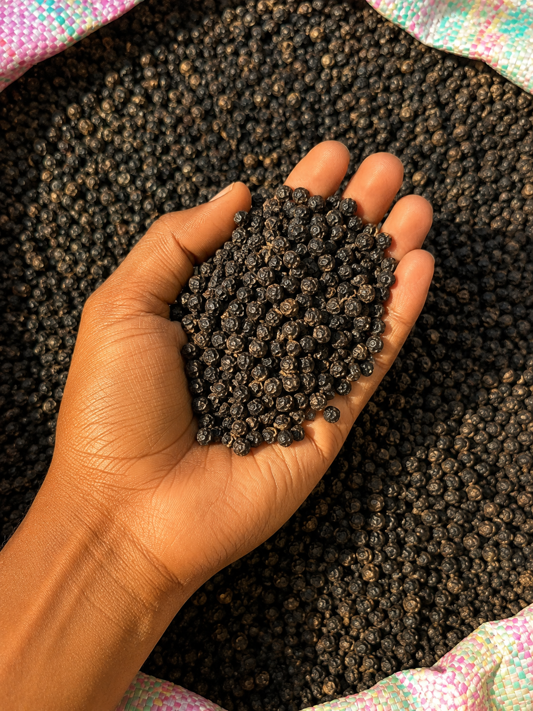 Premium Black Pepper