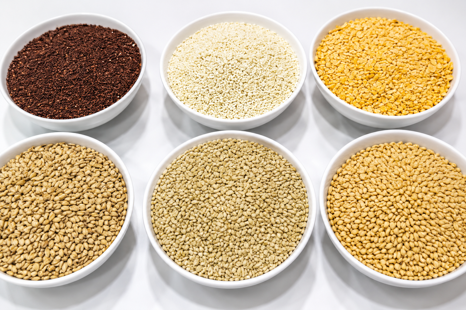 Processed Grains Collection